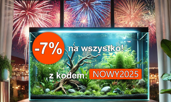 -7% na wszystko z okazji nowego roku!