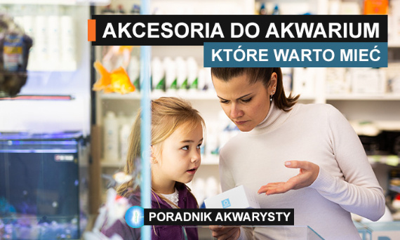 Akcesoria do akwarium które warto mieć