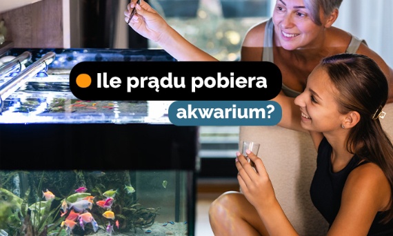 Ile prądu pobiera akwarium?
