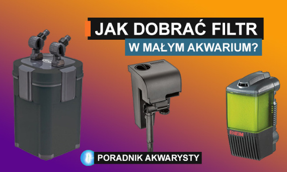 Jak dobrać filtr do małego akwarium?