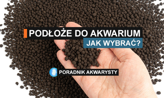 Podłoże do akwarium – na te 5 kwestii zwróć szczególną uwagę!