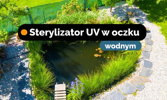 Sterylizator UV - czy to najskuteczniejszy sposób na usuwanie glonów?