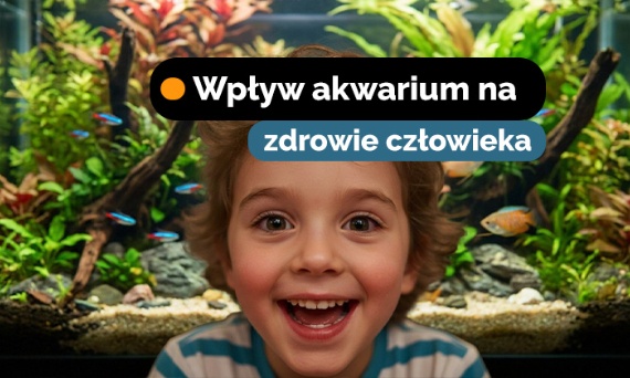 Jak akwarium wpływa na zdrowie człowieka?