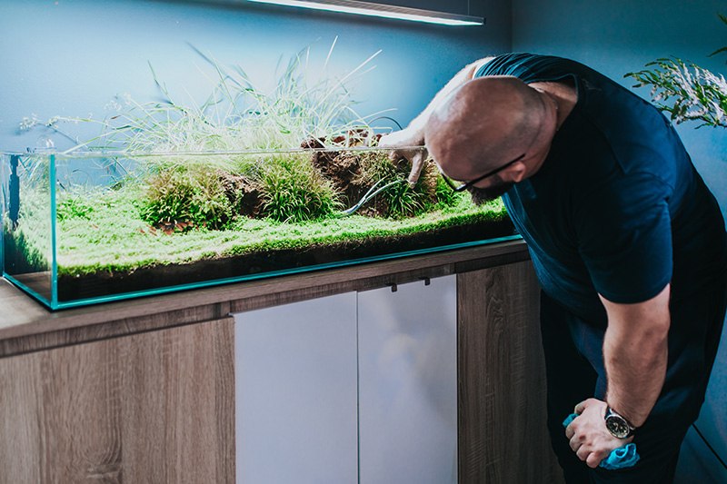 Przycinanie roślin w akwarium